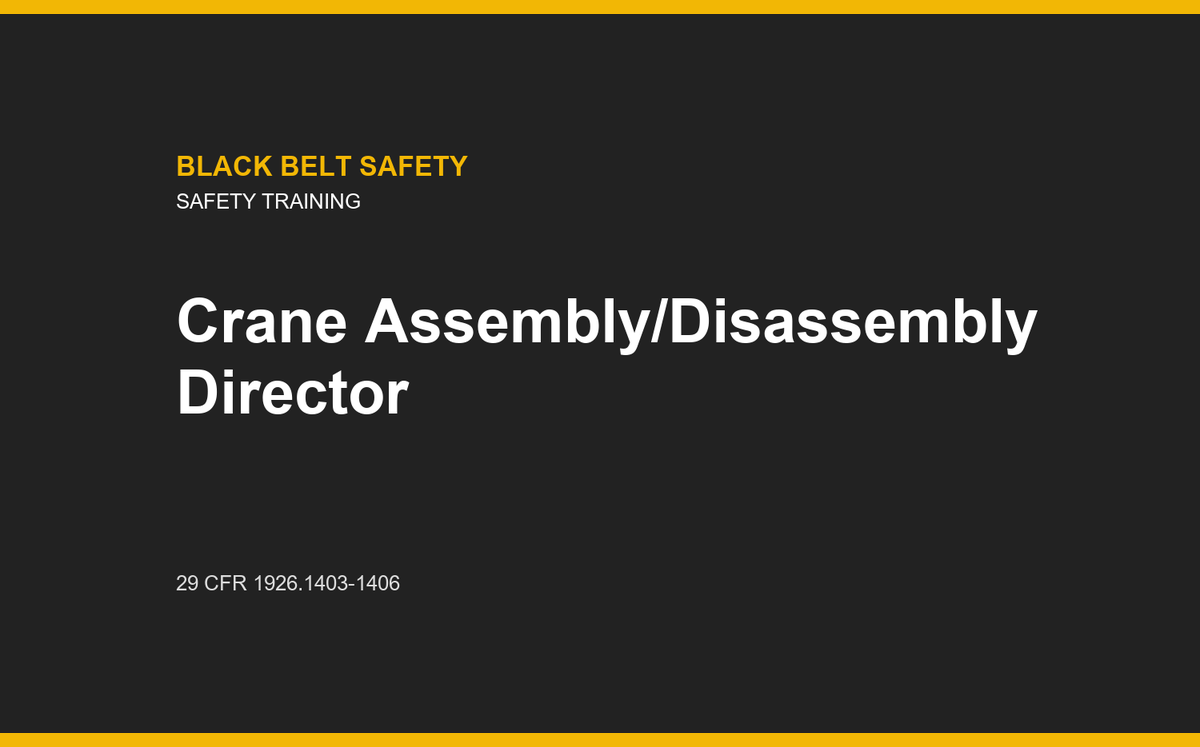 Crane Assembly/Disassembly Director