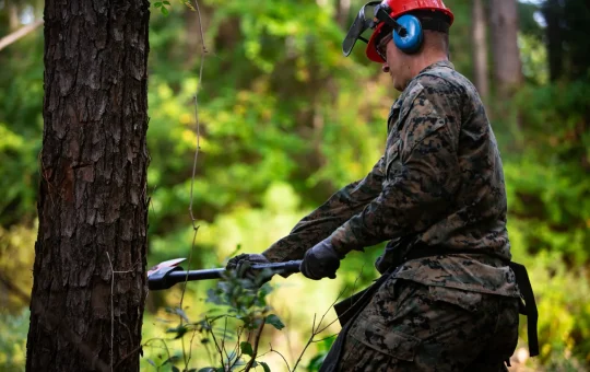 A worker in a logging helmet with earmuffs and face screen holds a chainsaw beside a tree