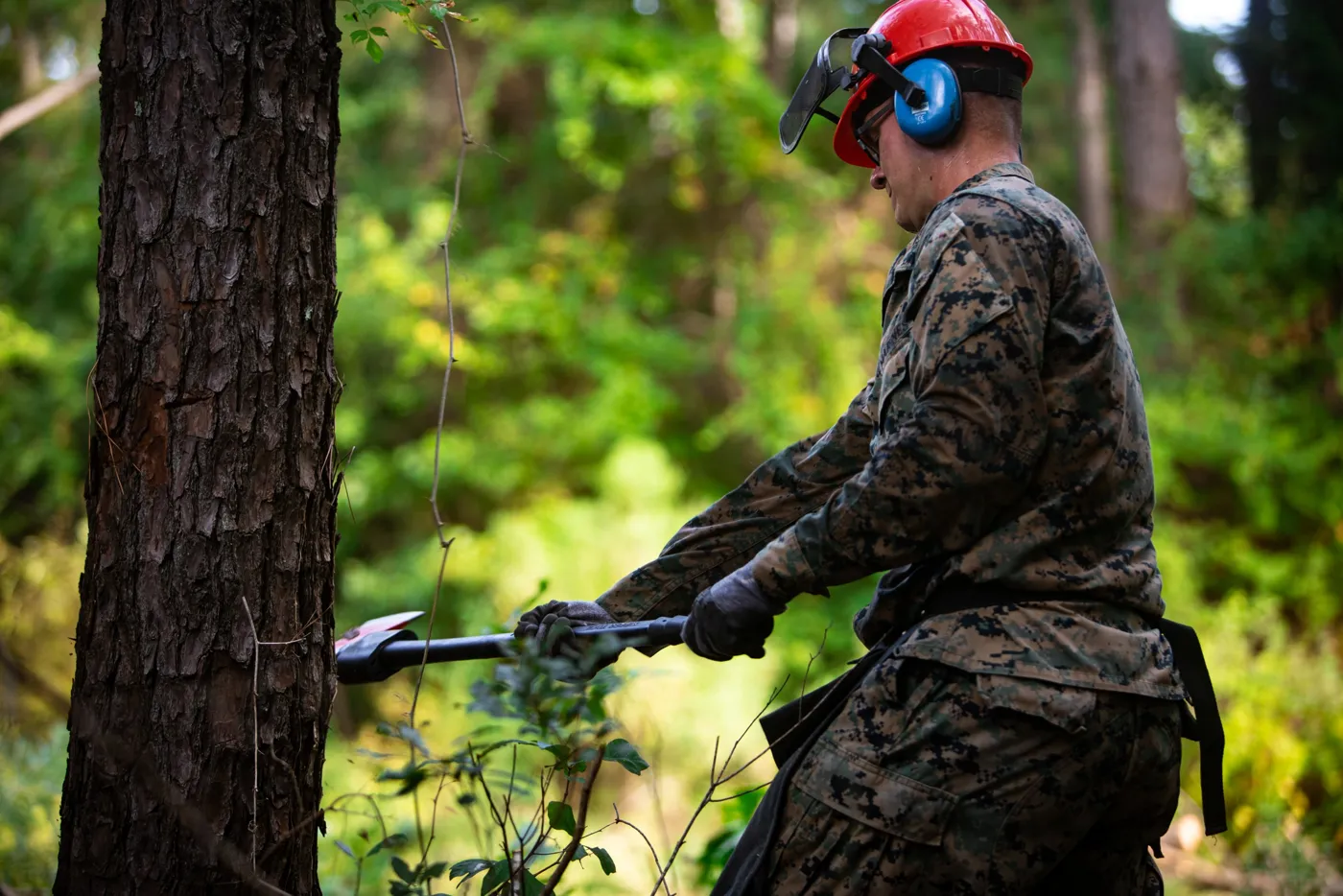 Logging Operations Safety